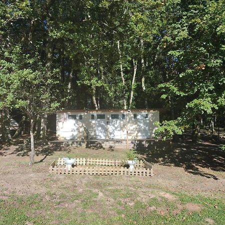 Camping Sous Les Belles Etoiles Peyrilhac Exterior foto